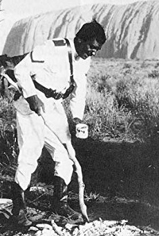 Películas de Ed Devereaux