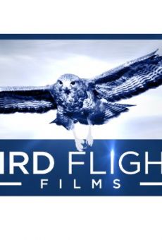 Películas de Elizabeth Brown