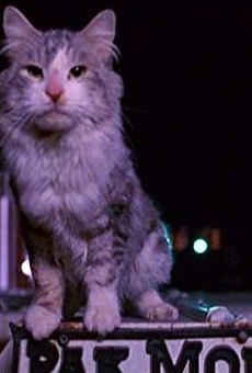 Películas de Elvis (2)