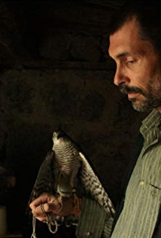 Películas de Erdal Besikçioglu