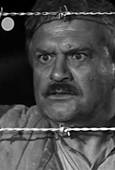 Películas de Evgeniy Bondarenko