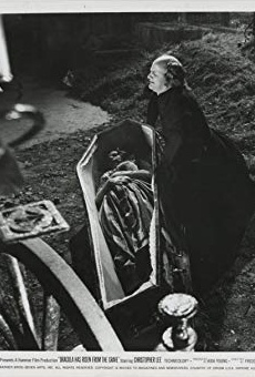 Películas de Ewan Hooper