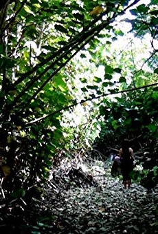 Películas de Fae Raboy