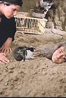 Películas de Fardous Abdel Hamid