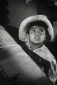 Películas de Fernando Alvarado