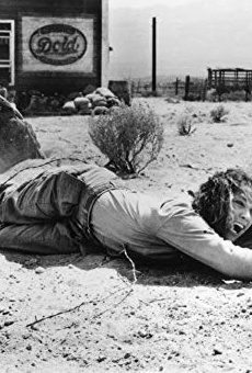 Películas de Finn Carter