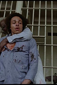 Películas de Floyd 'Wildcat' Chatman