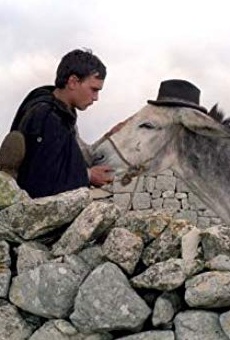 Películas de Francesco Casisa