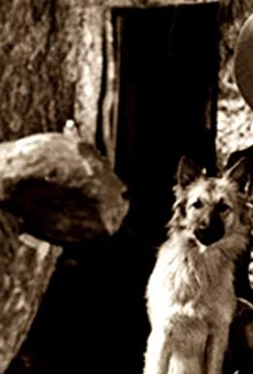 Películas de Francisco Petrone