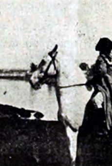 Películas de Frank Hall Crane