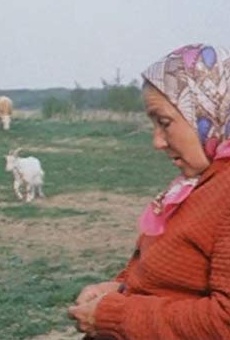 Películas de Galina Makarova