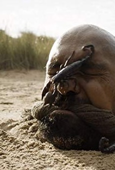 Películas de Gary Pillai