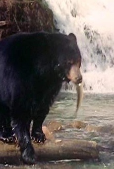 Películas de George (2)