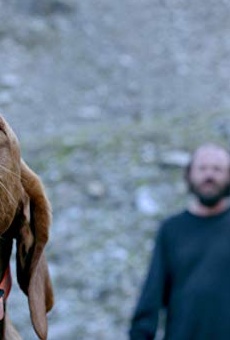 Películas de Gerhard Liebmann