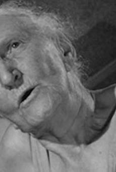 Películas de Gertrude Hoffman