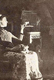 Películas de Grace Wilson