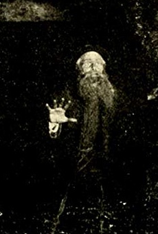 Películas de Hal Wilson