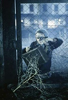 Películas de Hannah Taylor Gordon