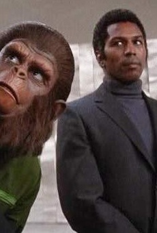 Películas de Hari Rhodes