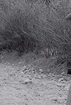 Películas de Harry Bartell