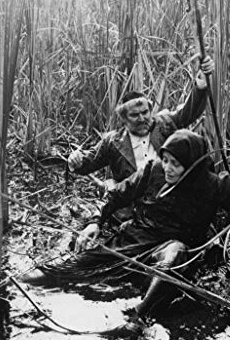 Películas de Hédi Temessy