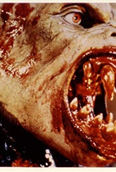 Películas de Heinrich von Schellendorf