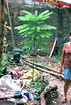 Películas de Helen Anang