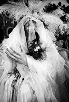 Películas de Hibiscus