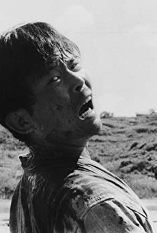 Películas de Hisashi Igawa