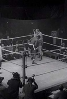 Películas de Irvin Allen