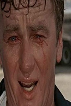 Películas de J.C. Quinn