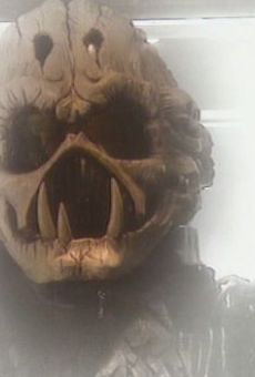 Películas de Jack Docherty Películas de Jack Docherty