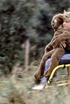 Películas de Jade Calegory