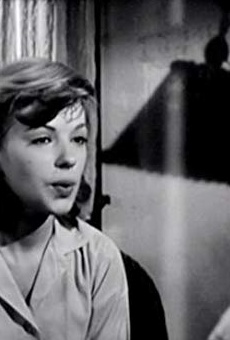 Películas de Jan Norris