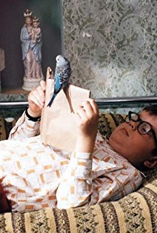 Películas de Jan Zahalka