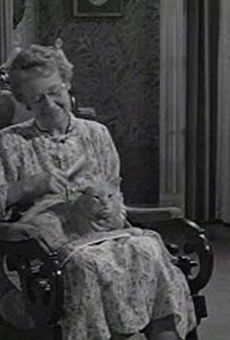 Películas de Jane Morgan Películas de Jane Morgan