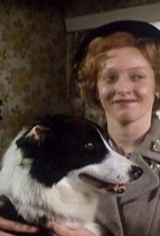 Películas de Jane Thornton Películas de Jane Thornton