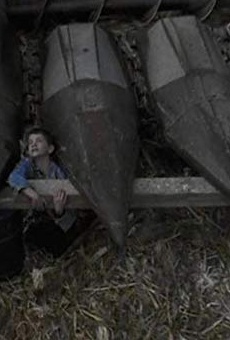 Películas de Jared Michael Thomas Películas de Jared Michael Thomas