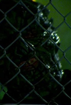 Películas de Jason Hopley