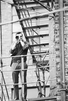 Películas de Jay Meyers