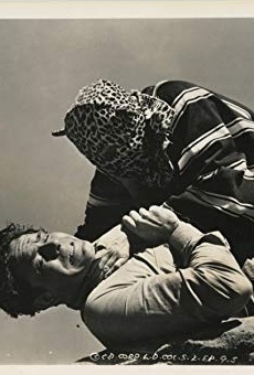 Películas de Jeff York