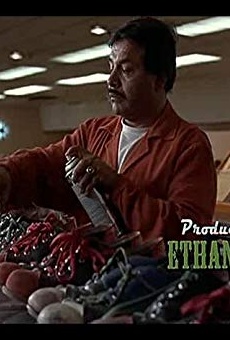 Películas de Jerry Haleva Películas de Jerry Haleva