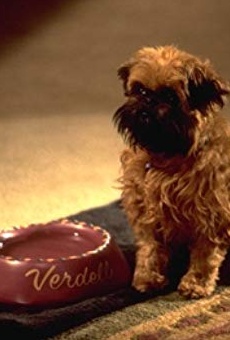 Películas de Jill the Dog