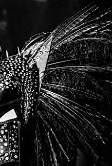 Películas de Jimmy Barnatán