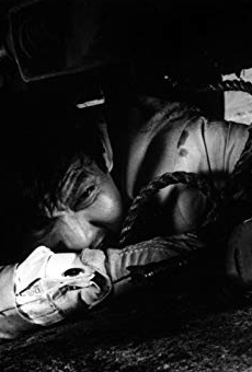 Películas de Jô Shishido