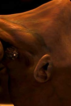 Películas de Joanna Numata