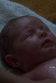 Películas de Joanne Boorman Películas de Joanne Boorman