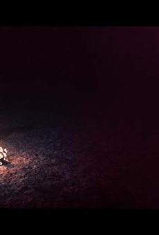 Películas de Joe Burch