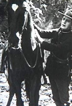 Películas de Joe King