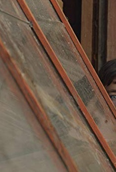 Películas de Joe Reynolds